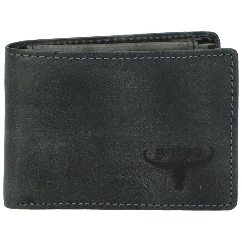 Pánská kožená peněženka s logem na přední části Ackley, černá