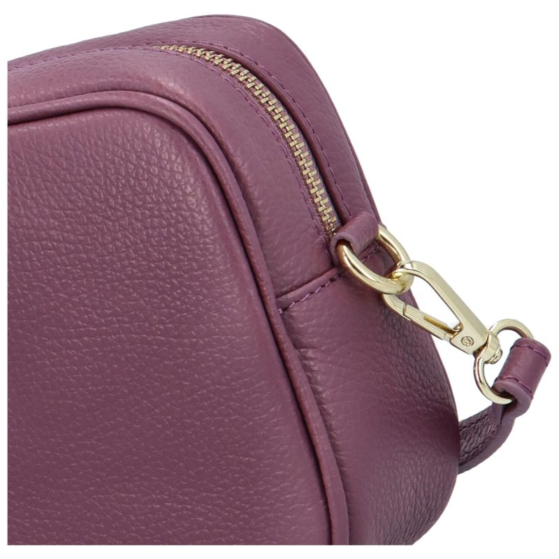 Elegantní dámská kožená crossbody kabelka Liane, fialová