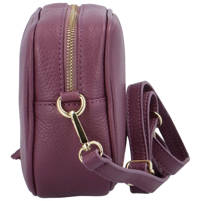 Elegantní dámská kožená crossbody kabelka Liane, fialová